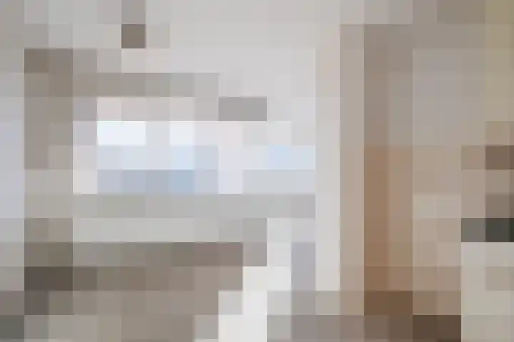 Wielstraat 50 Geldrop thumbnail 13