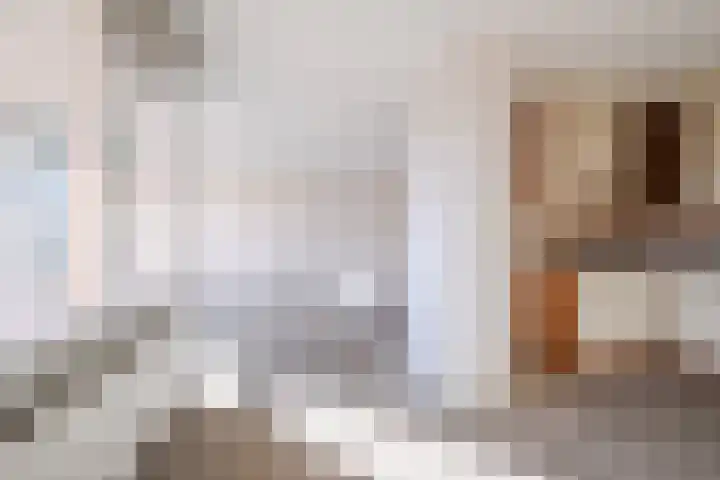 Wielstraat 50 Geldrop thumbnail 14