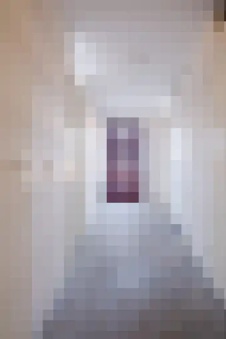 Wielstraat 50 Geldrop thumbnail 15