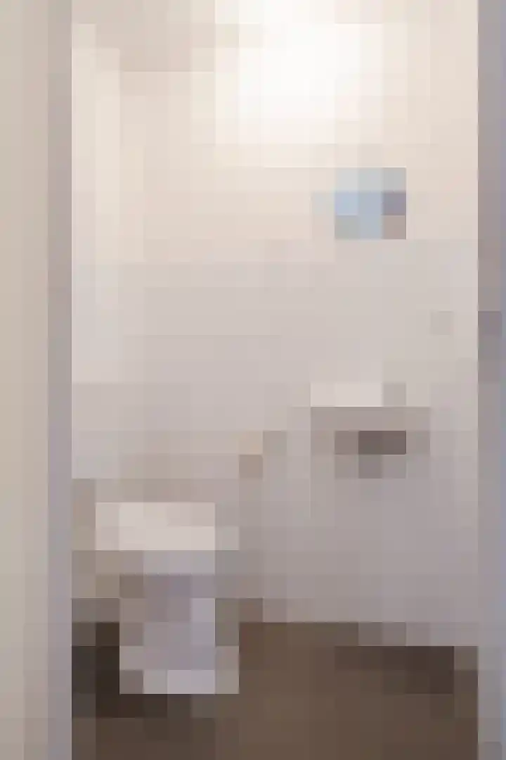 Wielstraat 50 Geldrop thumbnail 16