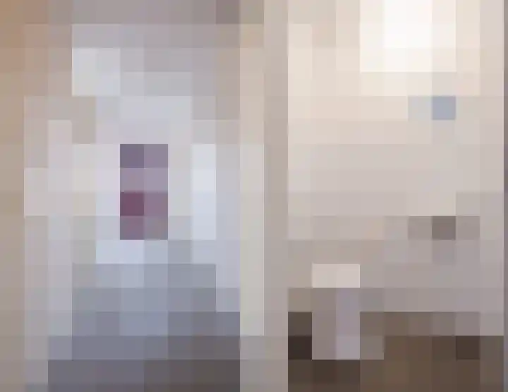 Wielstraat 50 Geldrop thumbnail 17