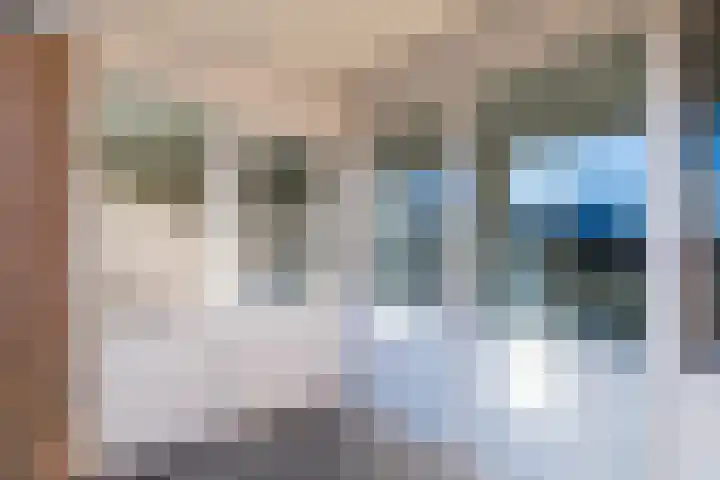 Wielstraat 50 Geldrop thumbnail 25