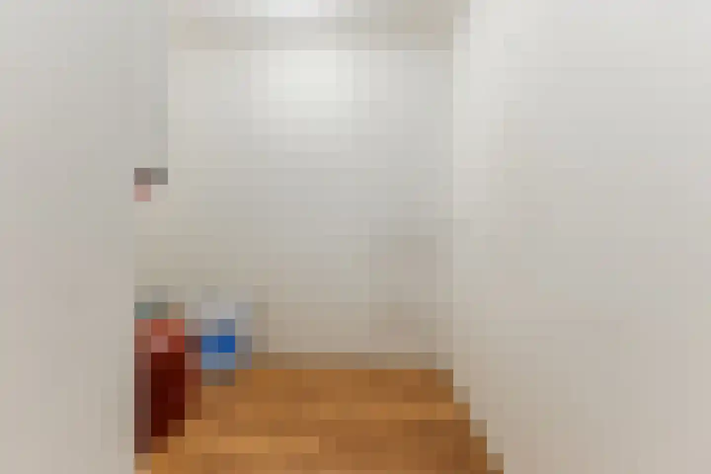Wielstraat 86 Geldrop thumbnail 24