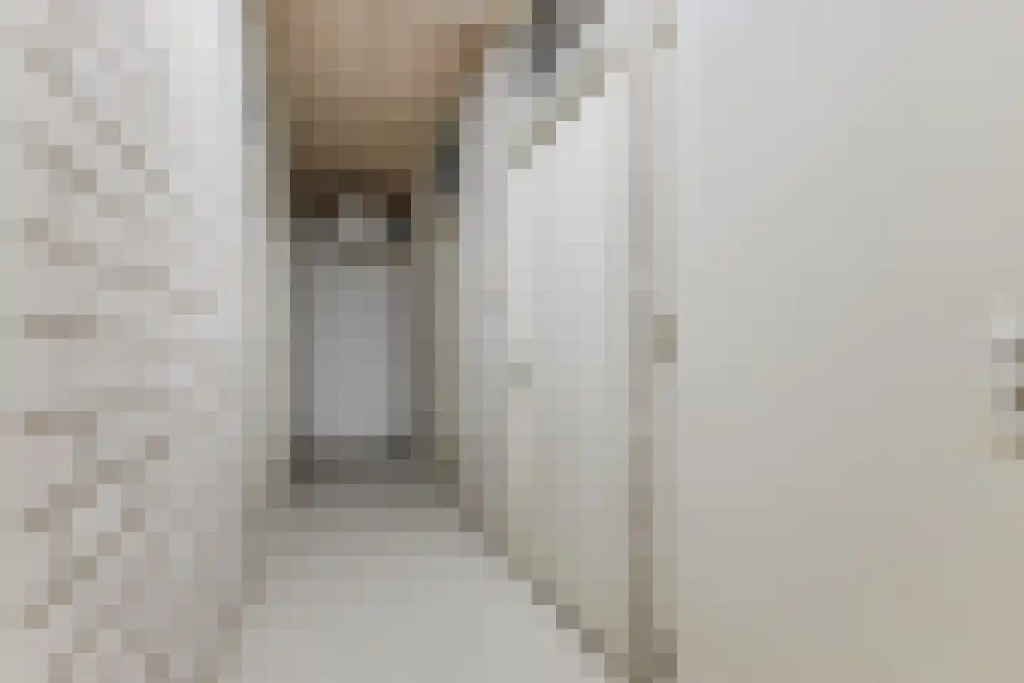 Wielstraat 86 Geldrop thumbnail 34