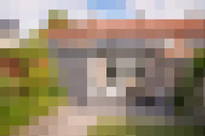 Wielstraat 9 Beneden-Leeuwen thumbnail 30