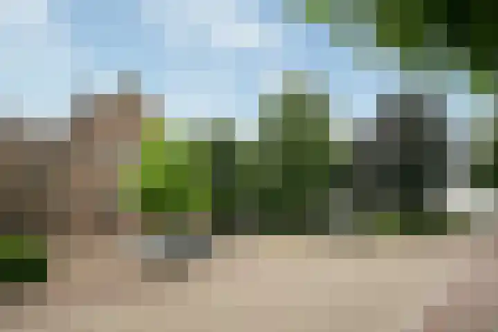 Wielstraat 9 Beneden-Leeuwen thumbnail 45