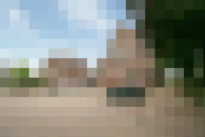 Wielstraat 9 Beneden-Leeuwen thumbnail 46