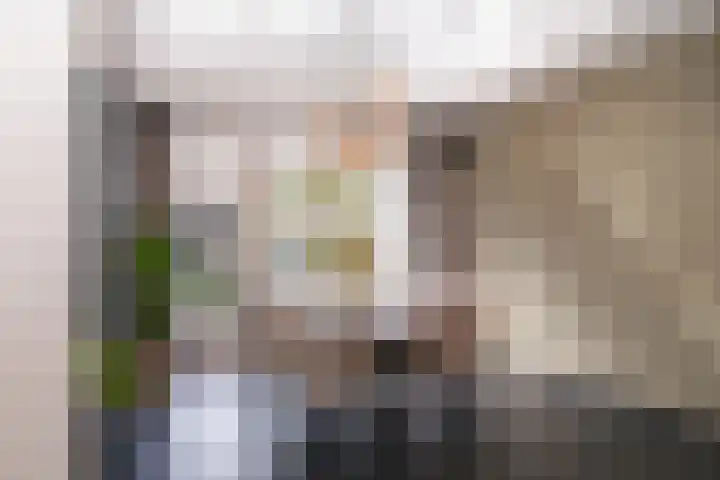 Wielstraat 9 Beneden-Leeuwen thumbnail 7