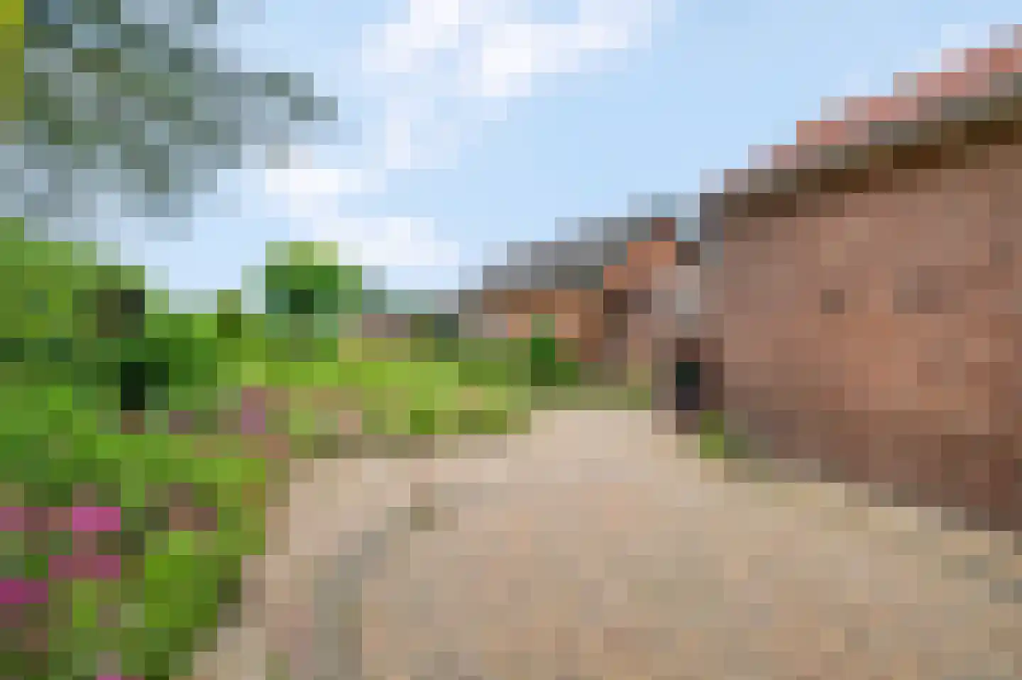 Wielweg 28 Zwartebroek thumbnail 34