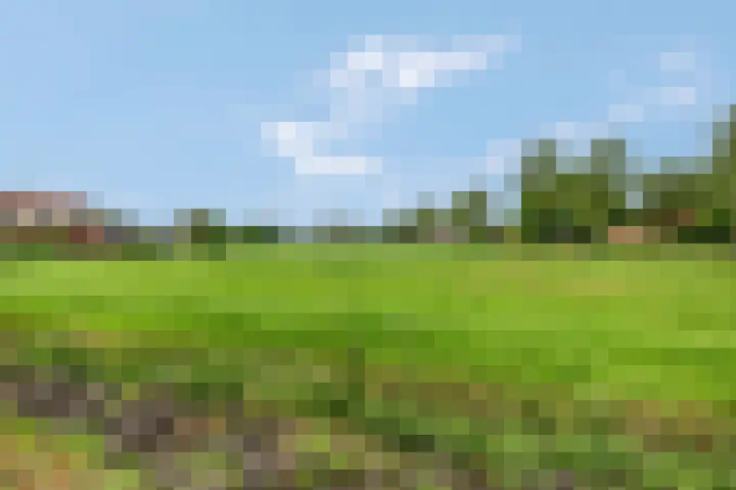 Wielweg 28 Zwartebroek thumbnail 8