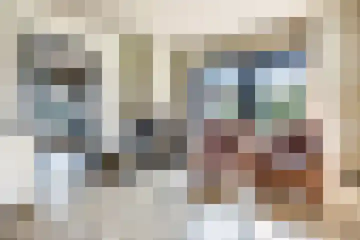 Wielweg 9 Zwartebroek thumbnail 10
