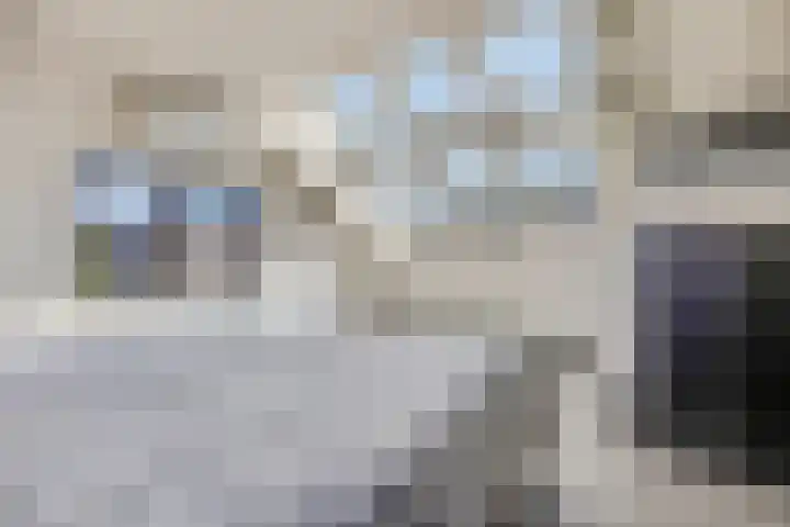 Wielweg 9 Zwartebroek thumbnail 17