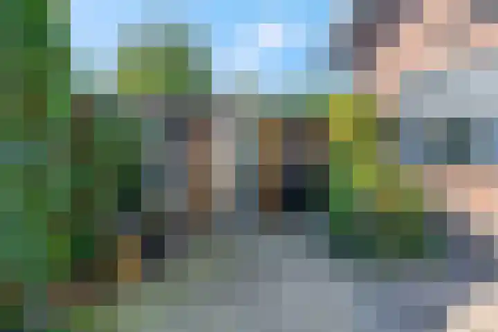Wielweg 9 Zwartebroek thumbnail 20