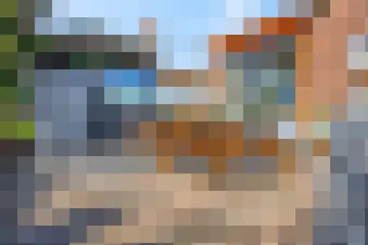 Wielweg 9 Zwartebroek thumbnail 23
