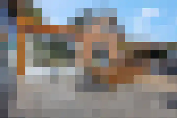 Wielweg 9 Zwartebroek thumbnail 24