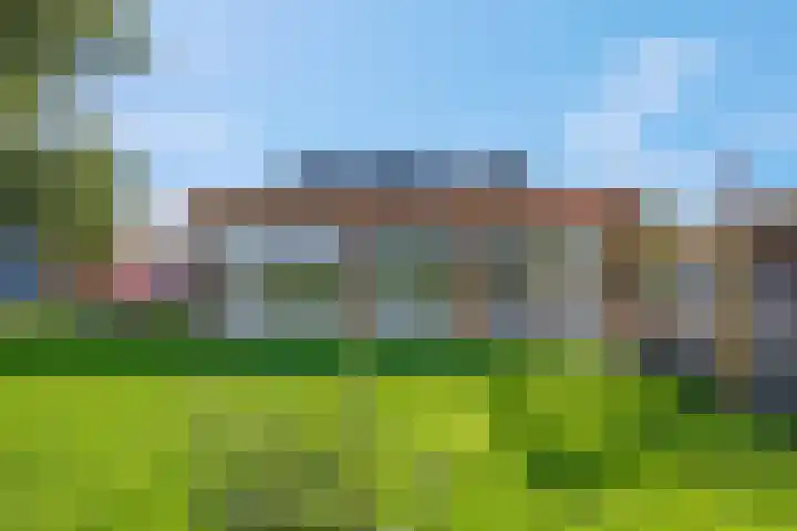 Wielweg 9 Zwartebroek thumbnail 25