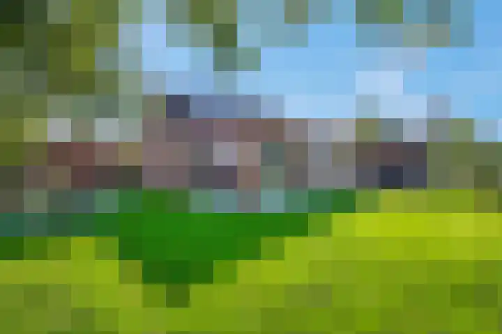 Wielweg 9 Zwartebroek thumbnail 26