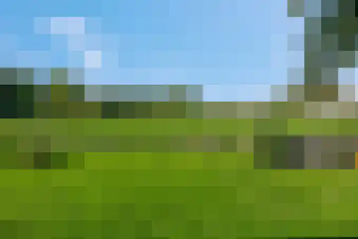 Wielweg 9 Zwartebroek thumbnail 27