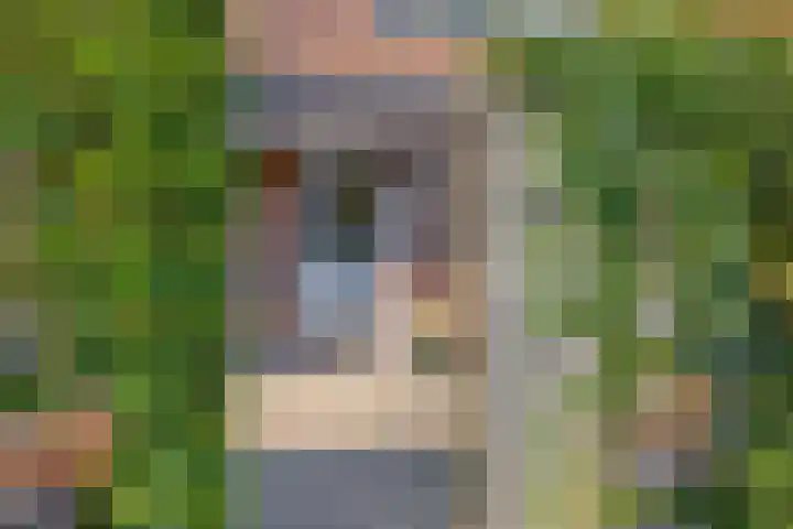 Wielweg 9 Zwartebroek thumbnail 5