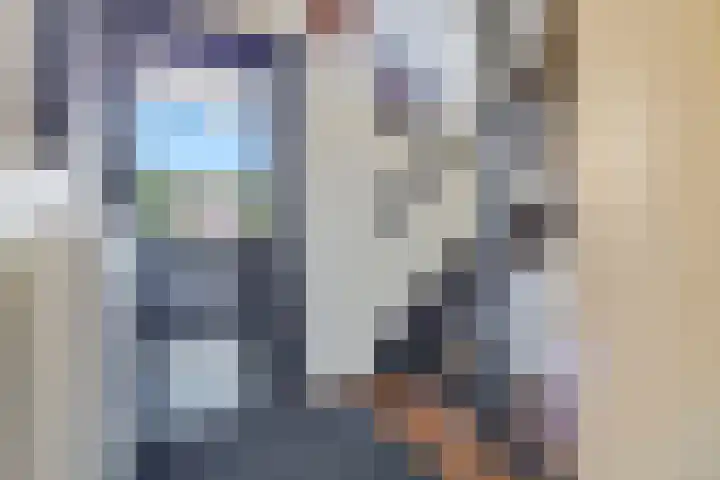 Wielweg 9 Zwartebroek thumbnail 6