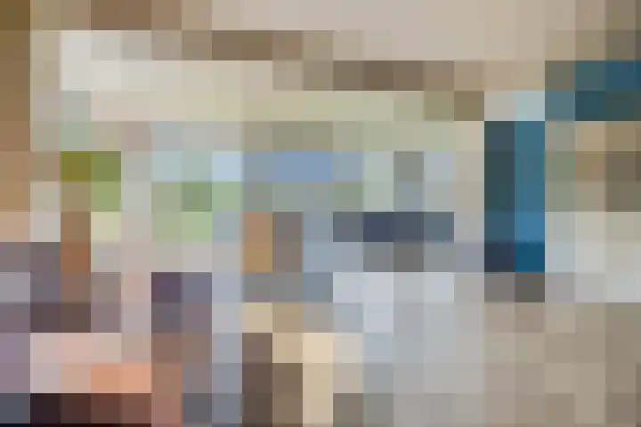 Wielweg 9 Zwartebroek thumbnail 7