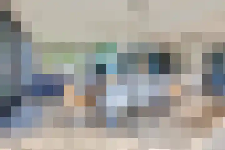 Wielweg 9 Zwartebroek thumbnail 8