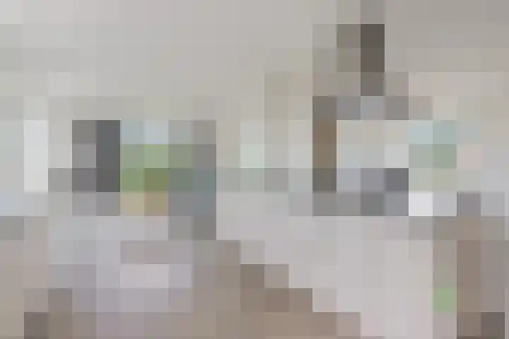 Wielwei 13 Doniaga thumbnail 11