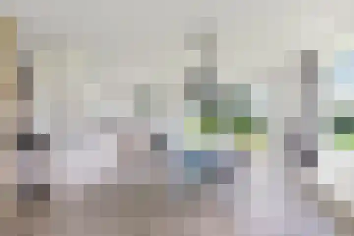 Wielwei 13 Doniaga thumbnail 12