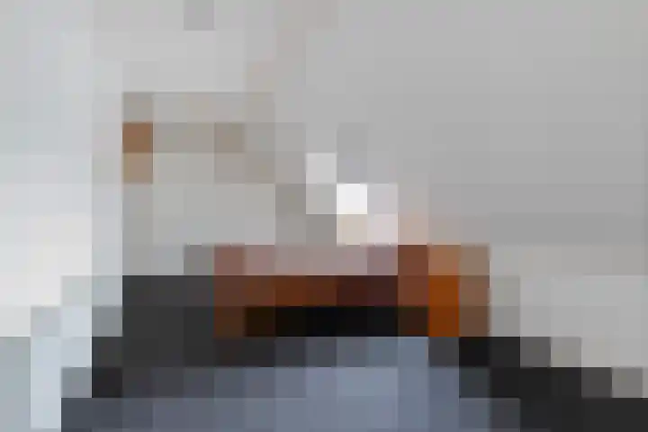 Wielwei 13 Doniaga thumbnail 17