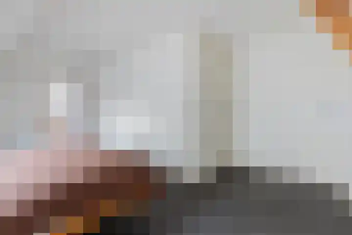Wielwei 13 Doniaga thumbnail 18