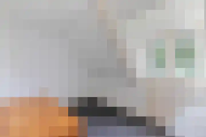 Wielwei 13 Doniaga thumbnail 20