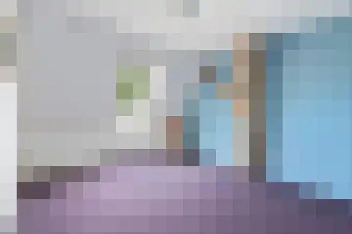 Wielwei 13 Doniaga thumbnail 24