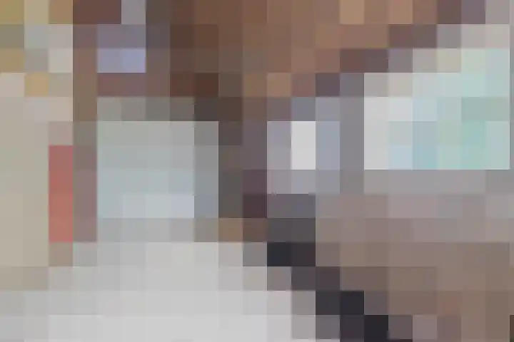 Wielwei 13 Doniaga thumbnail 27