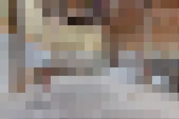 Wielwei 13 Doniaga thumbnail 30
