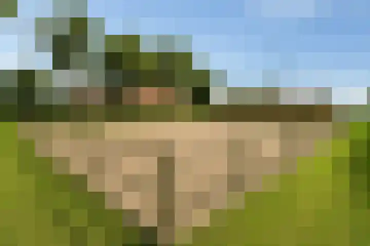 Wielwei 13 Doniaga thumbnail 38