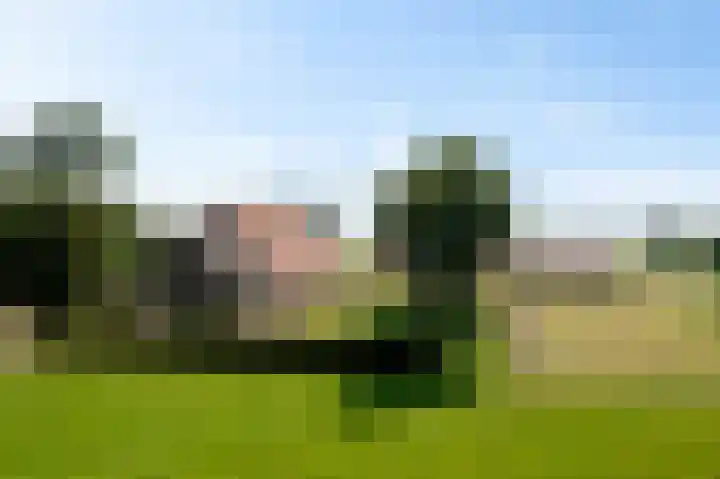 Wielwei 13 Doniaga thumbnail 4
