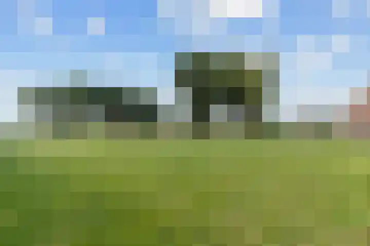 Wielwei 13 Doniaga thumbnail 40