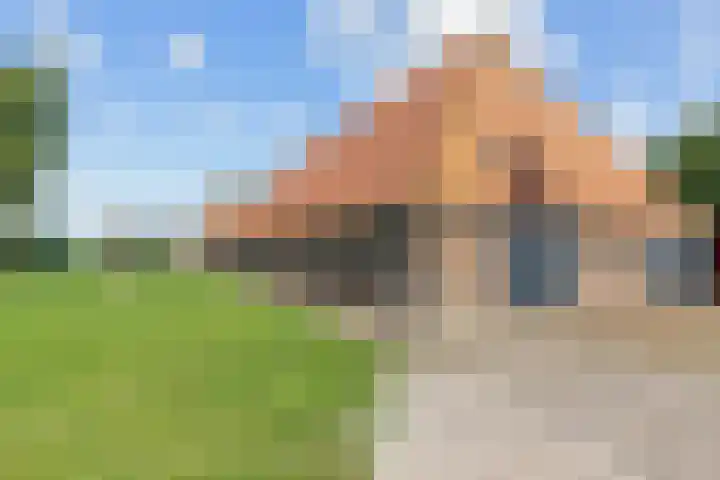 Wielwei 13 Doniaga thumbnail 41