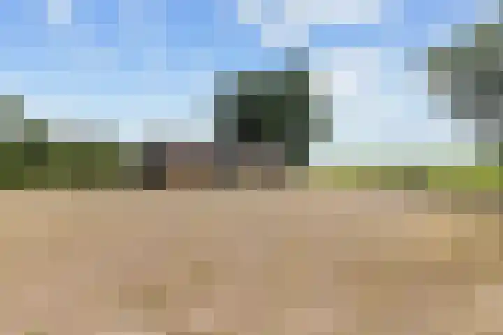 Wielwei 13 Doniaga thumbnail 42