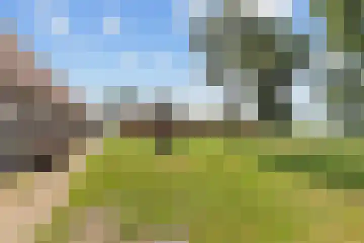 Wielwei 13 Doniaga thumbnail 43