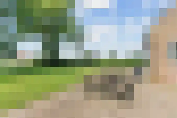 Wielwei 13 Doniaga thumbnail 44