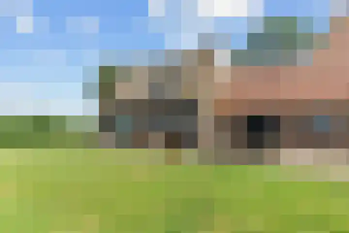 Wielwei 13 Doniaga thumbnail 45