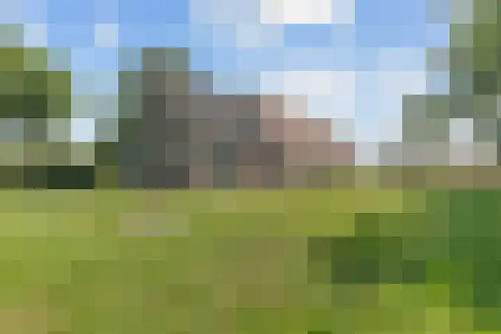 Wielwei 13 Doniaga thumbnail 46