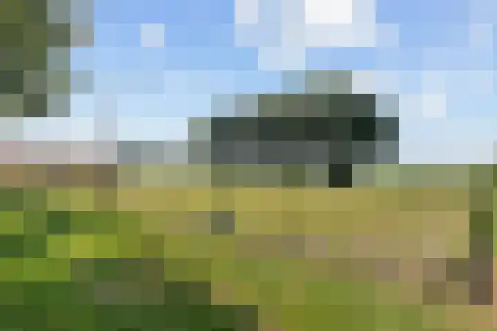 Wielwei 13 Doniaga thumbnail 47