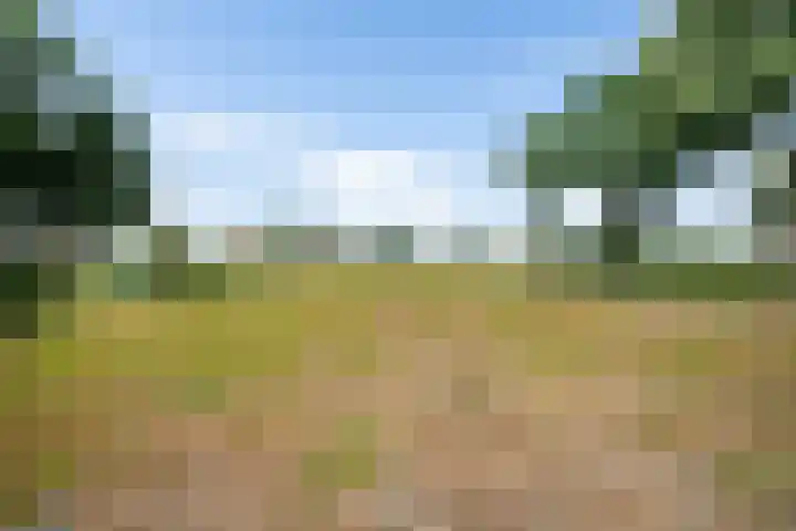 Wielwei 13 Doniaga thumbnail 49