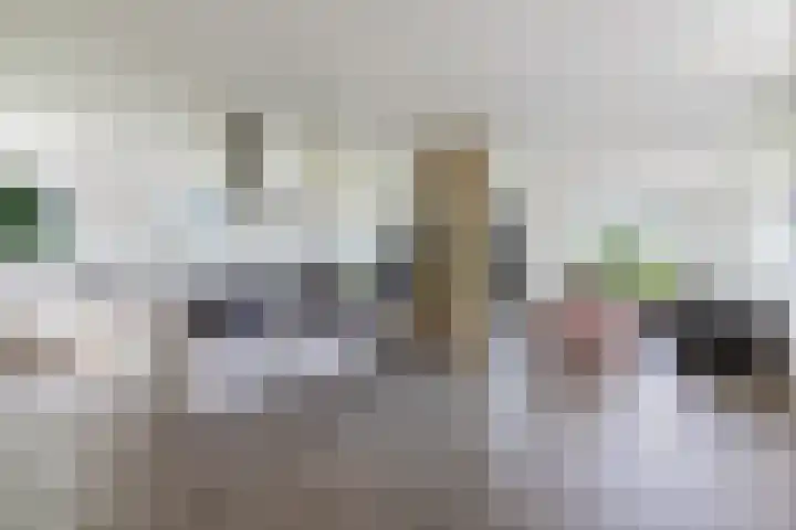 Wielwei 13 Doniaga thumbnail 5