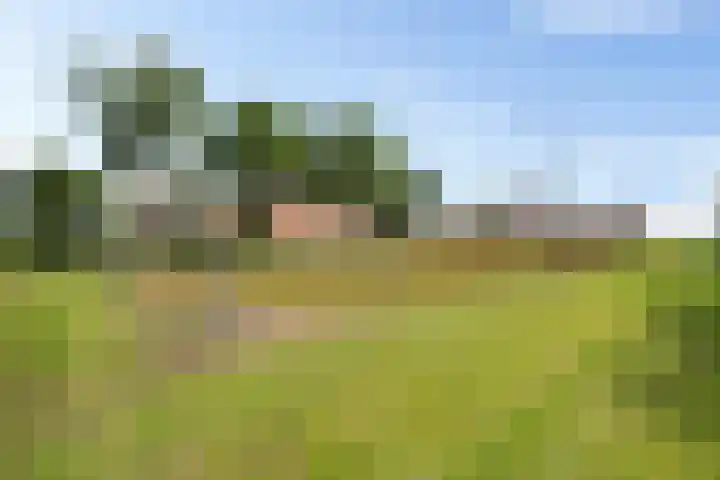 Wielwei 13 Doniaga thumbnail 50