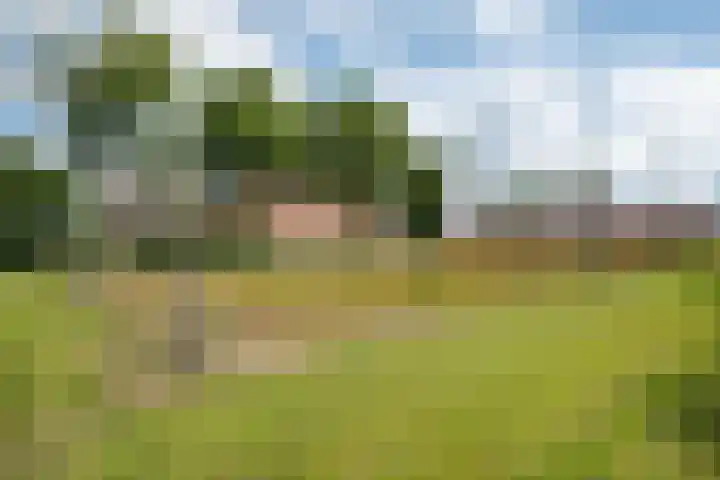 Wielwei 13 Doniaga thumbnail 51