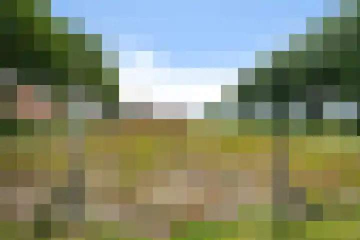 Wielwei 13 Doniaga thumbnail 52