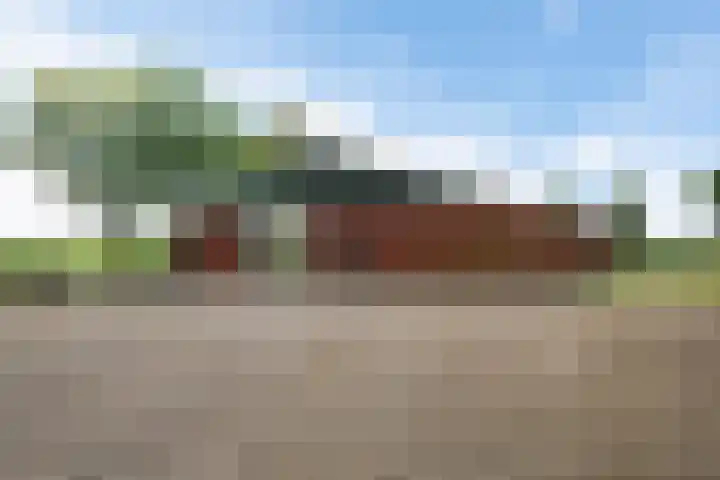 Wielwei 13 Doniaga thumbnail 53